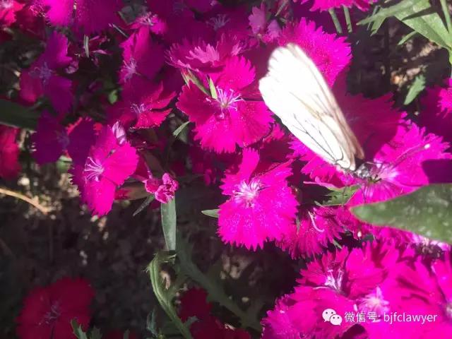 微信图片_20210520181430.jpg