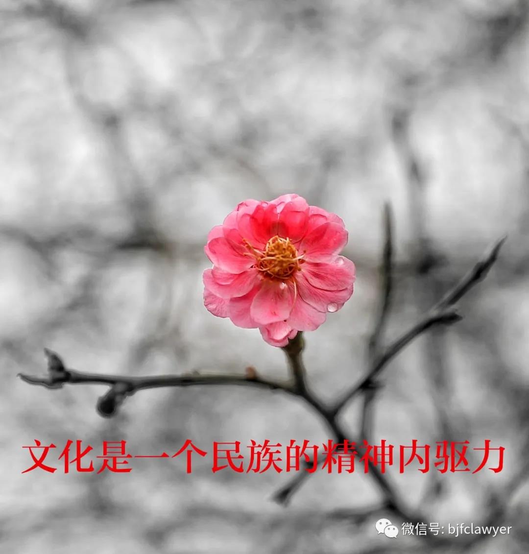 微信图片_20210521111244.jpg